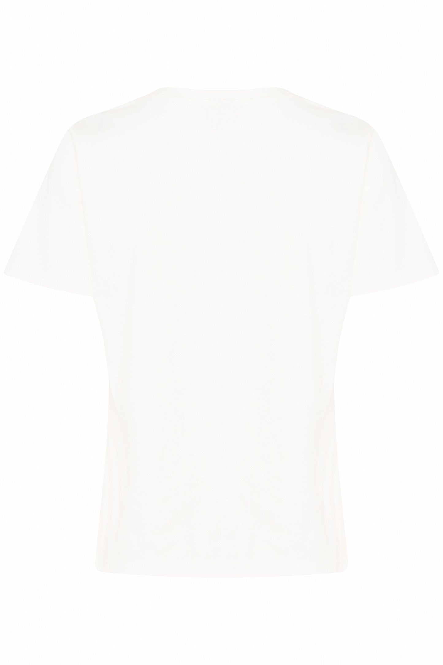 Ichi Palmer V Neck T. Shirt Cloud