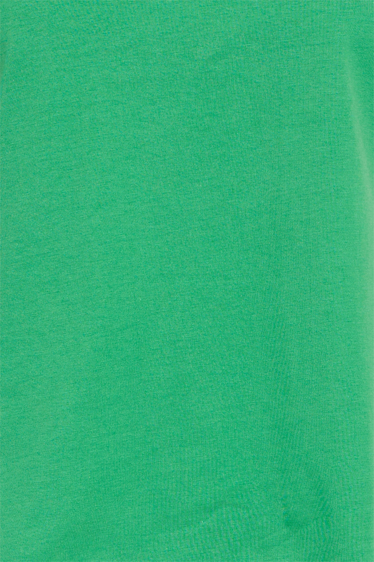 Ichi Palmer V Neck T. Shirt Green